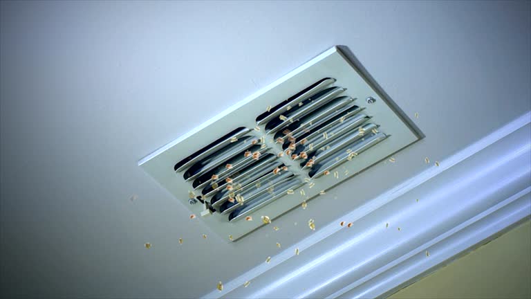 Best Air Vent Cleaning Services  in Petersburg, WV
