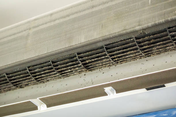 Best Local Air Duct Cleaning Services  in Petersburg, WV